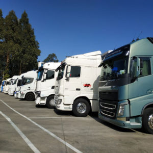 Imagen Cofetra derecha