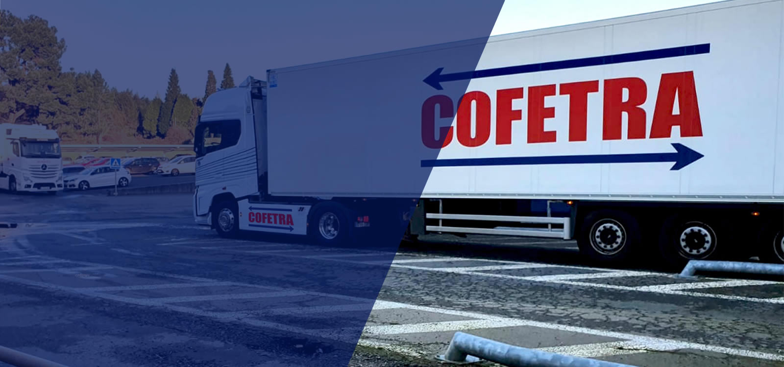 Cofetra imagen uno